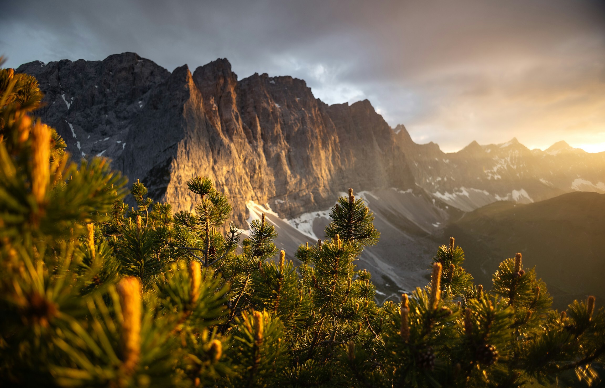 variety-copied-wallpaper-a79d060aa66cda4c83cd56bca16a8a9d